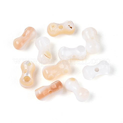 Natural Freshwater Shell Beads Strands&nbsp;SHEL-N038-29A