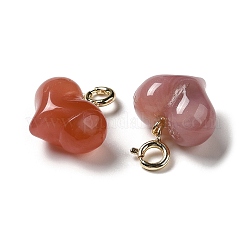 Natural Agate Pendant Decorations&nbsp;G-M409-11G