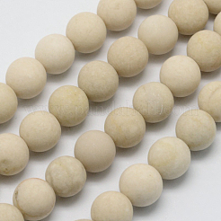 Natural Fossil Beads Strands&nbsp;X-G-D694-8mm