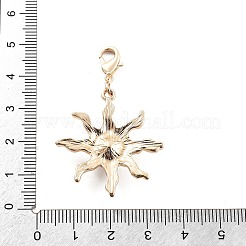 Alloy Rhinestone Pendant Decoration&nbsp;LS-HJEW-P021-01G-G