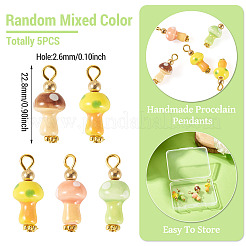 5Pcs Handmade Porcelain Pendants&nbsp;PALLOY-TAC0294