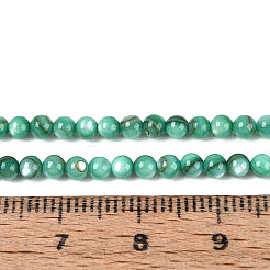 Natural Freshwater Shell Beads Strands&nbsp;X-BSHE-T009A-01J