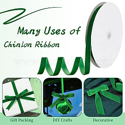 Chinlon Ribbon&nbsp;OCOR-WH0068-11B