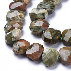 Natural Rhyolite Jasper Beads Strands&nbsp;G-L505-20