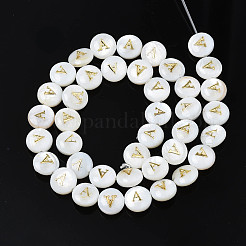 Natural Freshwater Shell Beads&nbsp;SHEL-S276-168A