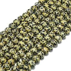Natural Dalmatian Jasper Beads Strands&nbsp;G-P573-B12-01