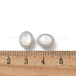Brass Shell Beads&nbsp;KK-U052-41P