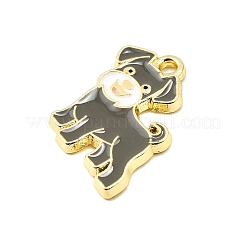 Zinc Alloy Enamel Pendants&nbsp;FIND-Z080-01G-01