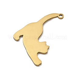 201 Stainless Steel Pendants&nbsp;SA-CBA0460-12G