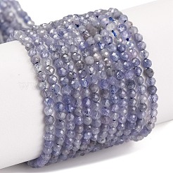 Natural Tanzanite Beads Strands&nbsp;X-G-F770-C04-03