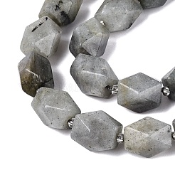 Natural Labradorite Beads Strands&nbsp;G-Q608-11E