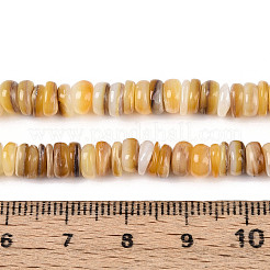 天然淡水イエローシェルビーズ連売り  フラットラウンド  ペルー  5.5~6x1~3.5mm  穴：0.5mm  約164~172個/連  15.16~15.55''（38.5~39.5センチメートル）&nbsp;SHEL-T020-30