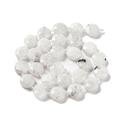 Natural Rainbow Moonstone Beads Strands&nbsp;G-NH0004-023