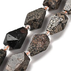 Natural Snowflake Obsidian Beads Strands&nbsp;G-NH0005-B03-01