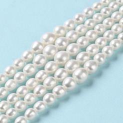 天然養殖淡水パールビーズ連売り  グラデーションポテト  パパイヤホイップ  5~10x4~9mm  穴：0.5mm  約65個/連  16.14~16.26''（41~41.3センチメートル）&nbsp;PEAR-E018-68