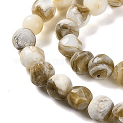 Natural Freshwater Shell Beads Strands&nbsp;BSHE-S304-03