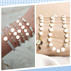 2 Strands Natural Freshwater Shell Beads Strands&nbsp;SSHEL-SC0001-36A
