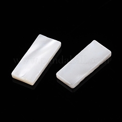Natural White Shell Cabochons&nbsp;SSHEL-T017-07