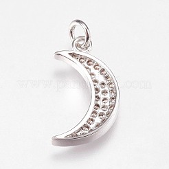 Brass Micro Pave Cubic Zirconia Pendants&nbsp;ZIRC-E145-62