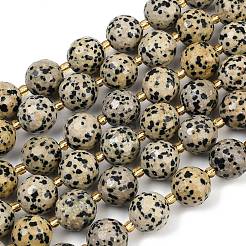 Natural Dalmatian Jasper Beads Strands&nbsp;G-C249-A02-16mm
