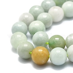 Natural Myanmar Jade Beads Strands&nbsp;G-E576-08B