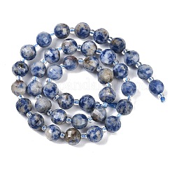 Natural Blue Spot Jasper Beads Strands&nbsp;G-G182-B31-03