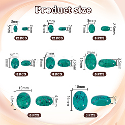 66Pcs 8 Styles Dyed Synthetic Turquoise Cabochons&nbsp;G-PH0002-67
