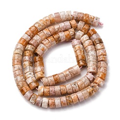 Natural Cherry Blossom Agate Beads Strands&nbsp;G-Z006-C48