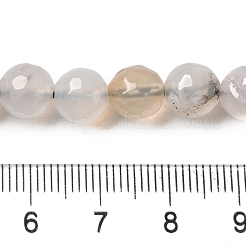 Dyed & Heated Natural Agate Beads Strands&nbsp;G-P539-D01-04