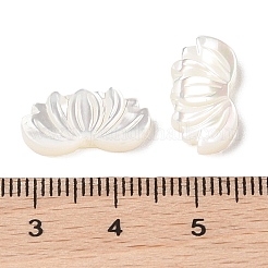 Natural Trochus Shell Carved Beads&nbsp;SHEL-P017-12