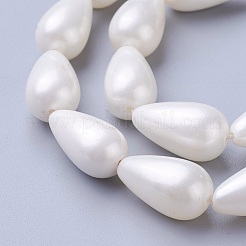 Electroplate Shell Pearl Beads Strands&nbsp;BSHE-O019-12