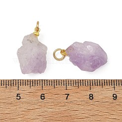 Raw Rough Natural Amethyst Pendants&nbsp;PALLOY-JF05951
