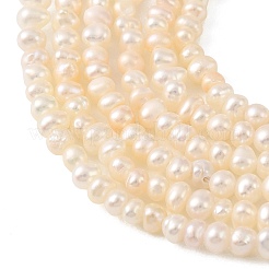 Natural Cultured Freshwater Pearl Beads Strands&nbsp;PEAR-L034-13C