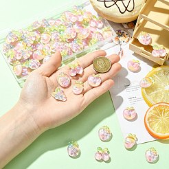 60個6スタイル不透明樹脂カボション  グリッターパウダー付き  混合図形  19~23x15~21x7.5~8.5mm  10個/スタイル&nbsp;CRES-CJ0001-88