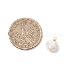 Shell Pearl Nuggets Charms&nbsp;PALLOY-JF04861