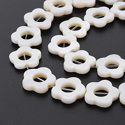 Freshwater Shell Beads Frames Strands&nbsp;SHEL-T009-14A