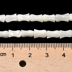 Natural Trochid Shell/Trochus Shell Beads Strands&nbsp;SHEL-XCP0001-11