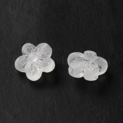 Transparent Acrylic Beads&nbsp;LS-OACR-L013-006