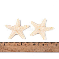 樹脂デコデンカボション  ヒトデ  古いレース  56~58x56~58x13~14mm&nbsp;CRES-T025-05A