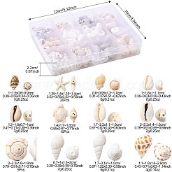 DIY Conch Shell Starfish Turtles Beads Findings Kits&nbsp;DIY-FS0010-25