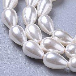 Polished Shell Pearl Beads Strands&nbsp;X-BSHE-L042-A02