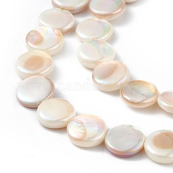 Electroplated Natural Freshwater Shell Beads Strands&nbsp;SHEL-K001-002
