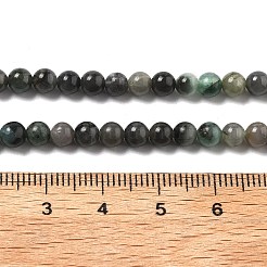 Synthetic Emerald Beads Strands&nbsp;G-A262-A03-4mm-1