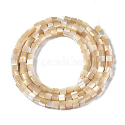 Natural Trochid Shell/Trochus Shell Beads Strands&nbsp;SSHEL-S266-009