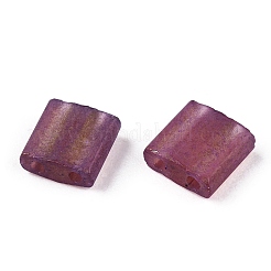 2-Hole Glass Seed Beads&nbsp;SEED-T003-02C-04