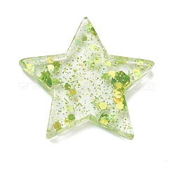 Transparent Resin Cabochons&nbsp;CRES-P087-A05