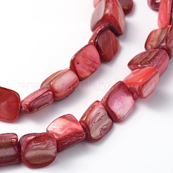 Natural Sea Shell Beads&nbsp;S00C5072