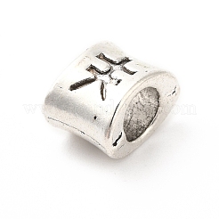 Tibetan Style Alloy European Beads&nbsp;LS-PALLOY-P293-139AS