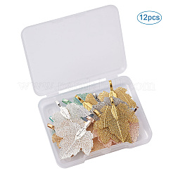 アイアン製ペンダント  天然葉の電気メッキ  ぶどうの葉  ミックスカラー  35x27x1.5mm  穴：3x5.5mm  6色  2個/カラー  12個/箱&nbsp;IFIN-TA0001-36