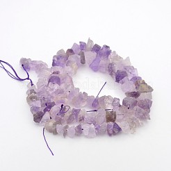 Natural Amethyst Nuggets Bead Strands&nbsp;G-A139-B03